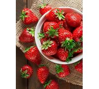 Peinture par Numero Adulte Fraise, Fruit Peinture Numero Adulte, DIY Loisirs Créatifs Adultes Kits avec Pinceaux et Pigment Acryliques, Paint by Numbers Enfant Kits, Decoration Murale, 40x50cm 5-9597