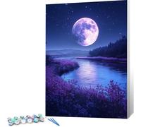 Peinture par Numero Adulte Lac DIY Oil Painting Kits on Canvas for Beginner, with Brushes and Acrylic Pigment, Paint by Numbers Enfant Lune Loisirs Créatifs Adultes, Cadeau 30x40 (Sans Cadre) 0j-484