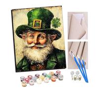 Peinture par Numéro Adulte Le sourire d'un elfe irlandais 40x50cm Bricolage Tableau Peindre par Nombre Jouets à peindre, cadeaux peints à la main Home Decor Avec cadre