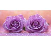 Peinture par Numero Adulte Les roses violettes, Peinture Numero Adulte Débutants DIY Pinceaux Peintures de Dessin de Pigment Acrylique Kit, Loisirs Créatifs Decor Maison 30x60cm (sans Cadre) t-976