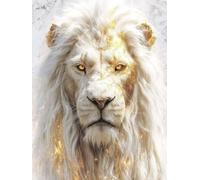 Peinture par Numero Adulte Lion Peinture Numero Animal Painting by Numbers, Kit de Bricolage Activite Manuelle Adulte par Débutants, Décoration de la Maison, Cadeau Femme Avec Cadre 30x40cm X-E421