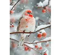 Peinture par Numero Adulte oiseau, scène de neige Peinture par Numero Adulte Loisir Créatif, DIY Peinture Numero Enfant Activité Manuelle, avec 3 Pinceaux et Pigment, Decoration Chambre Home 30x40cm