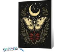 Peinture par Numero Adulte Papillon DIY Oil Painting Kits on Canvas for Beginner, with Brushes and Acrylic Pigment, Paint by Numbers Enfant Lune Loisirs Créatifs Adultes, Cadeau Femme, 20x30 0j-388