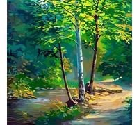 Peinture par Numero Adulte,Paysage de printemps DIY Acryliques Peinture Numero,Kit de Peinture à l'huile sur Toile avec Brosses et Peintures Acryliques Cadeau pour Mur de Maison sans Cadre,30x30cm