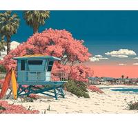 Peinture par Numero Adulte Paysage Peinture Numero, Paint by Number Plage Paint by Numbers for Adults Kit Peinture avec 3 Pinceaux et Acrylique pour Decoration Chambre, Cadeau 30 x 20 cm -yym25012Y4