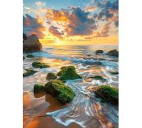 Peinture par Numero Adulte Plages de Sable Vagues 60 x 80 cm, Peinture Numéro Activité Manuelle Adulte, DIY Kit Peinture Adultes Avec Pinceaux et Peintures pour maison Décoration (Sans Cadre) -YH833