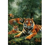 Peinture par Numero Adulte Tigre Forêt 40x60 cm, Peinture Numéro Activité Manuelle Adulte, DIY Kit Peinture Adultes Avec Pinceaux et Peintures Acryliques pour maison Décoration (Sans Cadre) -YH839