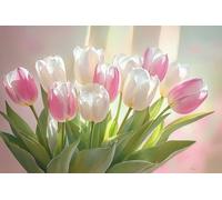 Peinture par Numéro Adulte Tulipes avec Pinceaux et Acryliques Bricolage Peintures Kits, pour la Décoration Intérieure maison, Loisirs Créatifs Activité Manuelle Adultes, 60x90cm (sans Cadre) e-1024