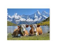 Peinture par Numéro Adulte,Vaches alpines,avec Pinceaux et Acryliques Bricolage Peintures Kits pour Adultes Enfants Seniors Débutant, pour la Décoration Intérieure maison(40x50cm)15.7x19.6 pouces-Y83