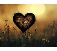 Peinture par Numéro Amour Usine, Peinture par Numero Adulte, Avec Pinceaux, Dessin de Pigment Acrylique, Activité Manuelle Adulte, Décoration Lntérieure, Cadeau Femme 20x30cm (sans Cadre) s0ji-146