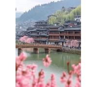 Peinture par Numéro Ancien Architecture, Peinture par Numero Adulte, Avec Pinceaux, Dessin de Pigment Acrylique, Activité Manuelle Adulte, Décoration Murale, Cadeau Femme 40x50cm (sans Cadre) s0ji-371