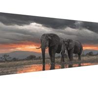 Peinture par Numero éLéPhant Peinture Numero Enfant Animal DIY Kit Creatif Adulte Couleur Toile, Paint by Numbers for Adults avec Accessoires pour Décoration de Murale 50x100cm (Avec Cadre) 5-2D99