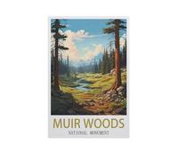 Peinture par Numero Kits Brosses et peintures acryliques，Monument national de Muir Woods，Adultes Enfants Seniors Débutant Cadeau de Peinture(30x40cm）-AI84