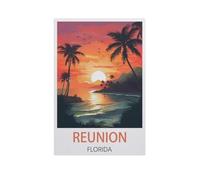 Peinture par Numero Kits Brosses et peintures acryliques，Réunion, Floride，Adultes Enfants Seniors Débutant Cadeau de Peinture（30x40cm）11.8x15.7 pouces-AN84