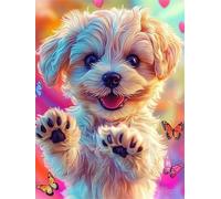 Peinture par Numéro Papillon Chien, Peinture par Numero Adulte, Avec Pinceaux, Dessin de Pigment Acrylique, Activité Manuelle Adulte, Décoration Murale, Cadeau Femme 40x50cm (sans Cadre) s0ji-295