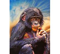 Peinture par numéro Peindre par Nombre Animaux Singe Kits Peinture À l'huile pour Adultes Peinture sur Toile DIY Cadeau Décor À La Maison 40x50cm