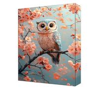 Peinture par Numéro Plum Bossom Hibou, Activité Manuelle Adulte, DIY Peinture Numero Enfant, Coloriage Numerote Adulte, Avec Pinceaux et Paint Acrylique, Décoration Maison (Sans Cadre) 70x90cm T-559