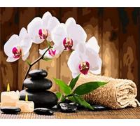 Peinture par Numero pour Adulte Enfant,Orchidée Pierre Zen Bricolage Peinture par Numéros à l'huile sur Toile,avec Peintures Acryliques et Pinceaux Kits pour la Décor de la Maison 40x50cm - sans Cadre