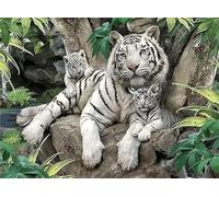 Peinture par Numero pour Adulte Enfant,Tigres blancs Bricolage Peinture par Numéros à l'huile sur Toile,avec Peintures Acryliques et Pinceaux Kits pour la Décor de la Maison 40x50cm - avec cadre