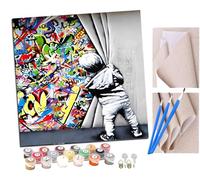 Peinture Par Numero pour Adulte und Enfant Un petit garçon détruit des graffitis sur un mur Débutants Kit de Bricolage Peinture à l'huile sur Toile avec Acrylique et Pinceaux 40 x 40cm (sans Cadre)