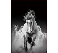 Peinture par Numéro - YEESAM ART - Dark Horse - 40x50 cm - Acrylique - Adulte