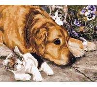 Peinture par numéros - 30x40cm Chien/chat