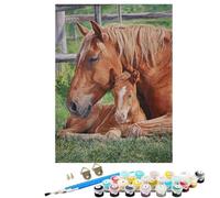 Peinture par Numéros Adulte Cheval Animal, Débutants DIY Kit Peinture Numero avec Cadre, Artisanat Loisirs CréAtifs d'art, avec 3 Pinceaux e Acryliques, Décoration Maison Cadeau 100x135cm BJHDK128