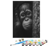 Peinture par Numéros Adulte, Débutants DIY Kit Peinture Numero ChimpanzéS Animal, Adultes Artisanat pour Loisirs CréAtifs d'art, avec Pinceaux Acryliques, Décoration Maison Cadeau 30x40cm SYLWK100