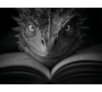 Peinture par Numéros Adulte Kit DIY Le livre du dragon avec Pinceaux Peintures Acryliques Toile 70x90cm Sans Cadre Facile à Réaliser Débutants Enfants Décoration Murale Maison Cadeau Créatif F-524