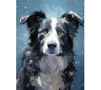 Peinture par Numéros Adultes,Border collie Peinture par Numéros Chien Peinture Numero 20x30cm,Loisirs Créatifs Adultes Paint by Numbers,Livrée avec Peinture et Pinceau,Decoration Chambre LY-15199