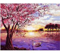 Peinture par numéros avec cadre Images à peindre - Paysage 50 x 40 cm
