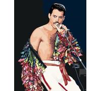 Peinture par numéros avec cadre Peinture - Freddie Mercury 40x50 cm