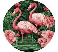Peinture par numéros cadre rond - Flamands en...