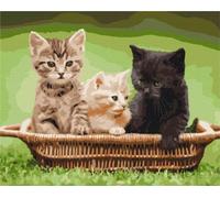 Peinture par numéros, chatons dans un panier