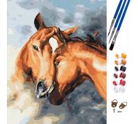 Peinture Par Numéros Cheval 47X57Cm