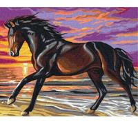 Peinture par numéros Cheval en cavale 40x50cm
