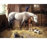 Peinture par numéros - Chevaux