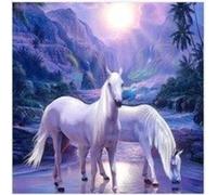 Peinture par numéros chevaux blancs
