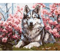 Peinture par numéros Chien 40x50 cm