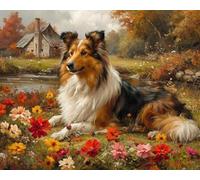 Peinture par Numéros débutants,Chien de berger des Shetland gardant la propriété,Peinture Numero sur Toile,Kit de Peinture à l'huile sur Toile Bricolage avec pinceaux,40x50cm sans cadre