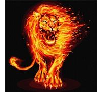 Peinture par numéros - Firepower 40x40cm