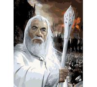 PEINTURE PAR NUMÉROS Images à peindre-Gandalf Le Seigneur des Anneaux 40x50cm