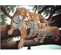 Peinture par numéros "Léopards", 30 x 40 cm