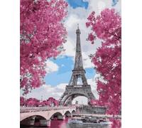 Peinture par numéros - Magnolias à Paris 40x50cm