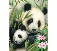 Peinture par numéros Ours panda PJS39