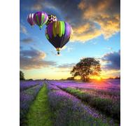 Peinture par numéros Paysage avec ballons M1454