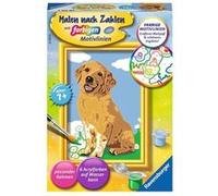 Peinture par numéros - Petit Golden Retriever G