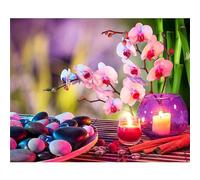 Peinture par Numéros pour Adulte,40x50cm Acryliques Peinture par Numéros - Orchidée rose zen Motif - Enfants Débutants DIY Kits de Peinture l'huile sur Toile pour Maison murale Décor Cadeau sans Cadre