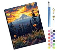 Peinture Par Numéros Pour Adulte,DIY Peinture Acrylique pour Débutants Facile Sur Toile,40×50 cm,avec Peintures et Pinceaux,Fleurs sauvages des montagnes enneigées au coucher du soleil,sans cadre