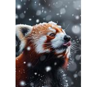 Peinture par Numéros pour Adulte Neige - 60x80 cm Kits de Peinture au Numéro avec Acrylique, DIY Panda Roux Kit Creatif Adulte Débutants, Décoration de Maison Cadeaux (Sans Cadre) Y-S426